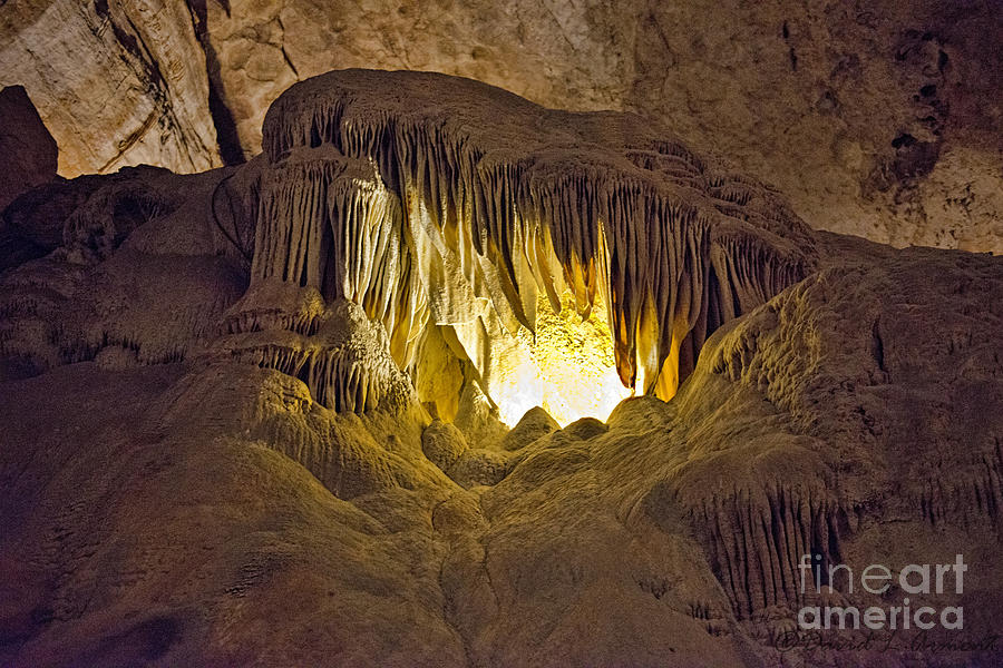 Whales Mouth in Carlsbad Caverns Photograph by David Arment