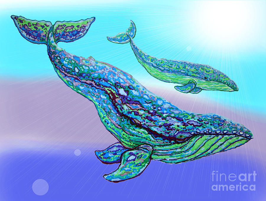 Whales Drawing