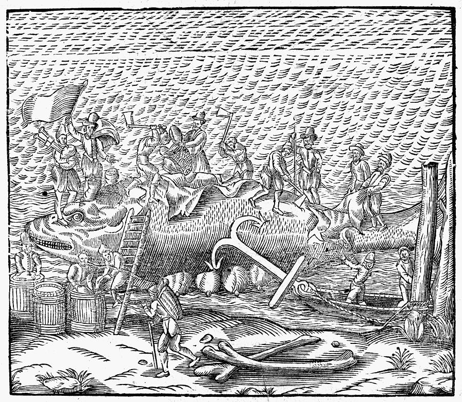 Whaling, 16th Century Painting by Granger