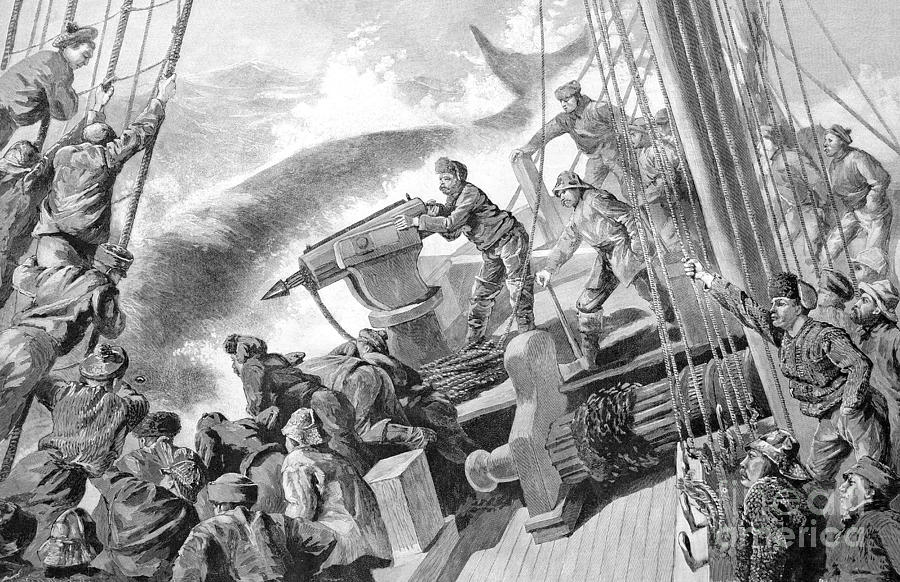 whaling-using-a-harpoon-gun-1890s-bildagentur-online.jpg