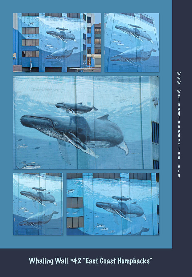 Whaling Wall 42 -  East Coast Humpbacks - Original Painting By Wyland Photograph