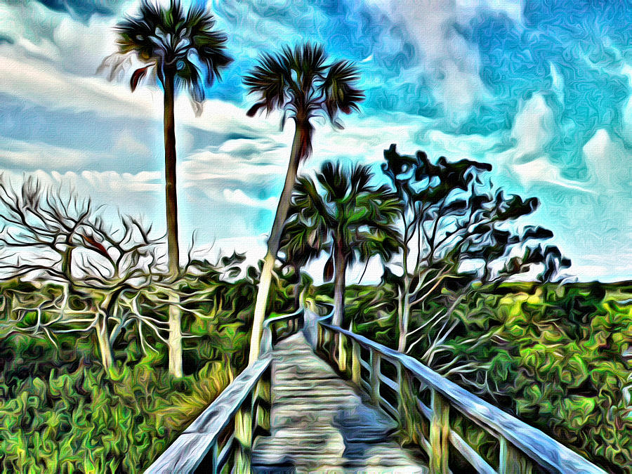 What A Beautiful Boardwalk Photograph by Alice Gipson