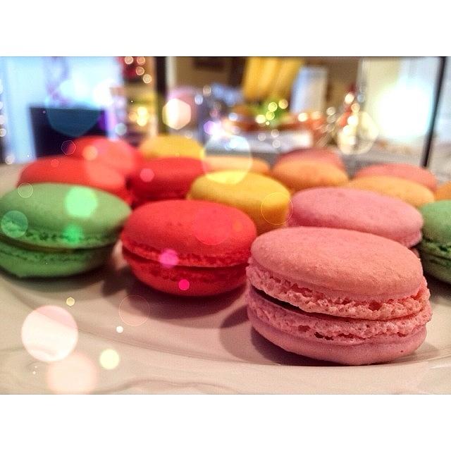 Macaroons Photograph - What A Maroon. #merryxmas #macaroons by Alexis Vaughn
