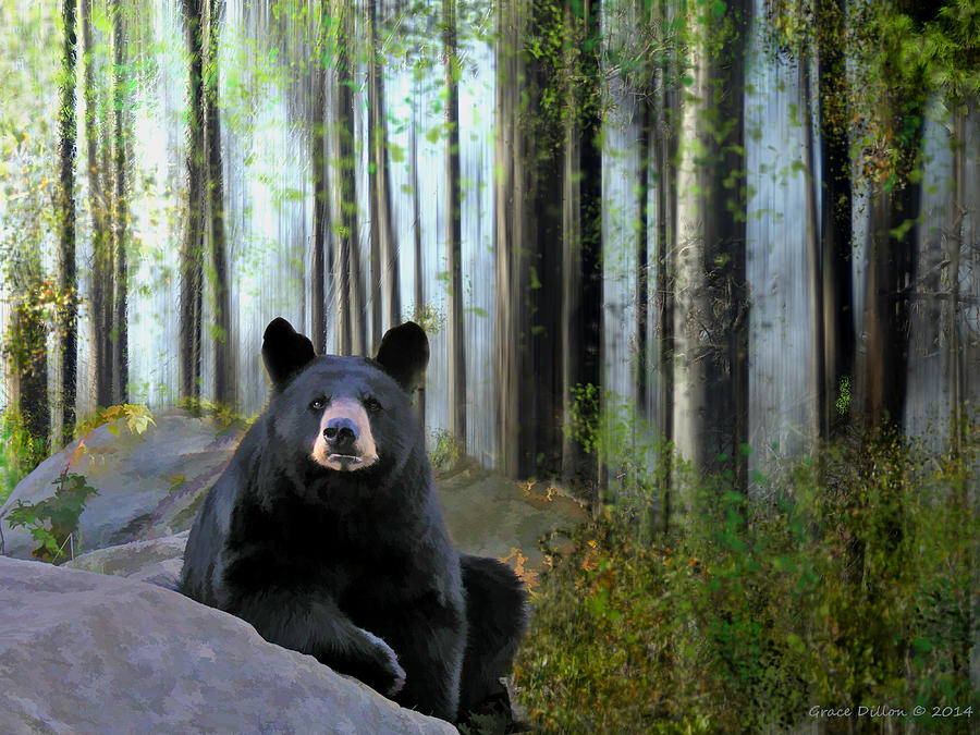 What Bears Do In The Woods Digital Art