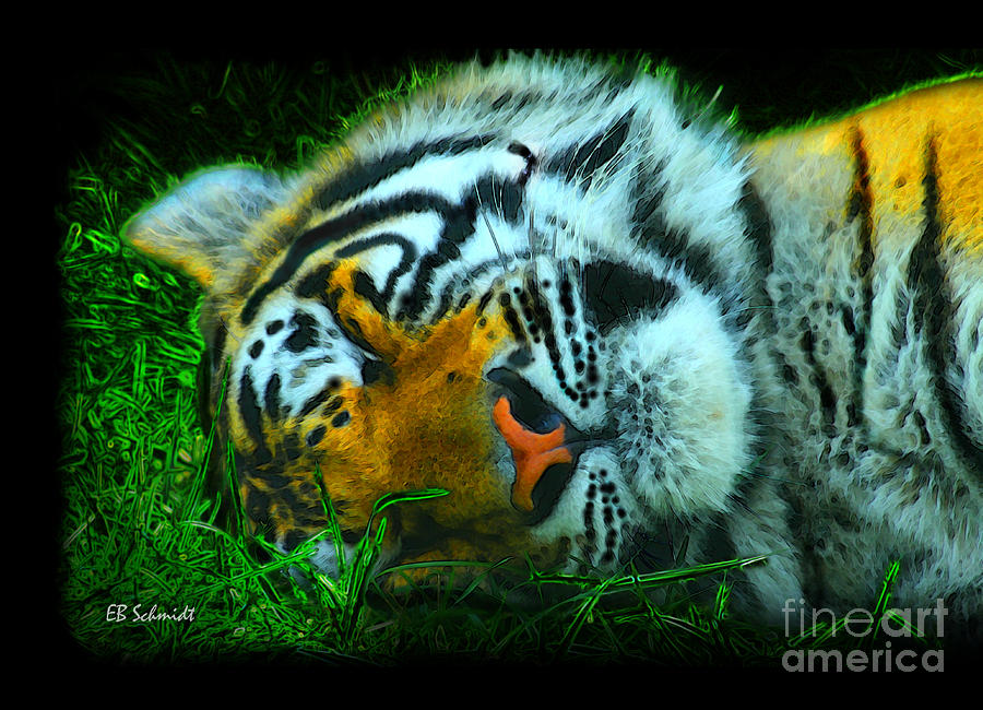 What Do Tigers Dream Digital Art by E B Schmidt