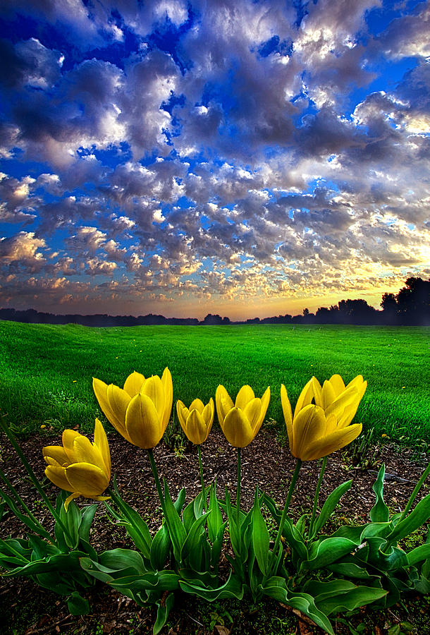 What Kind of World do You Want Photograph by Phil Koch