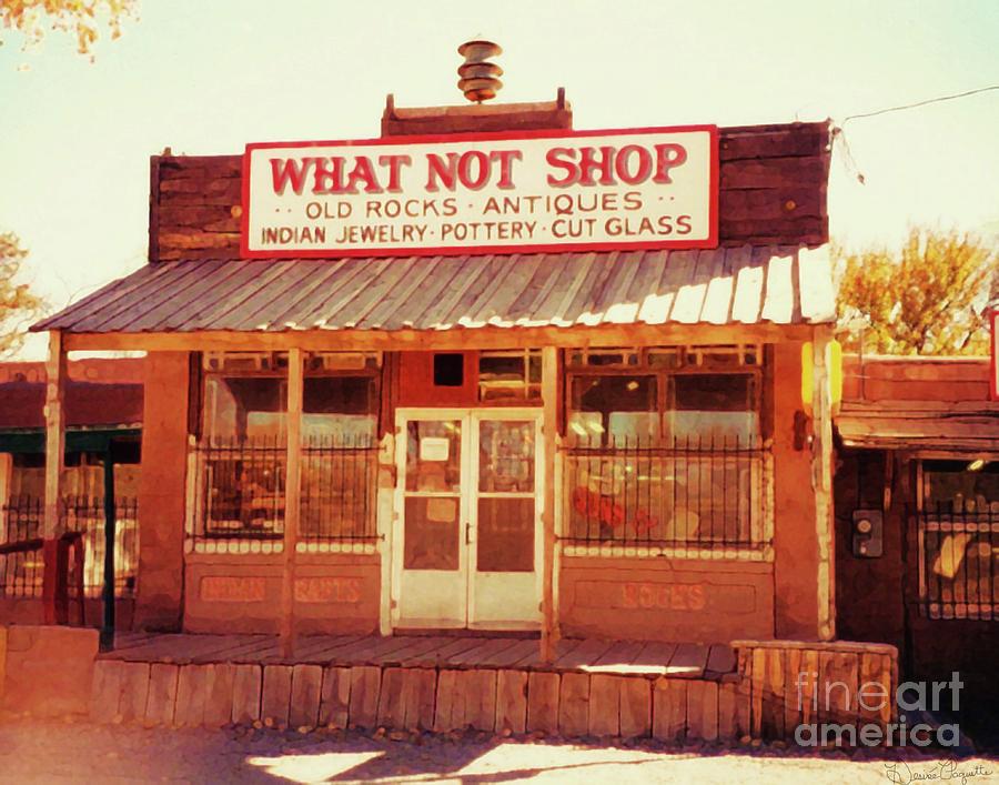 What Not Shop Photograph by Desiree Paquette
