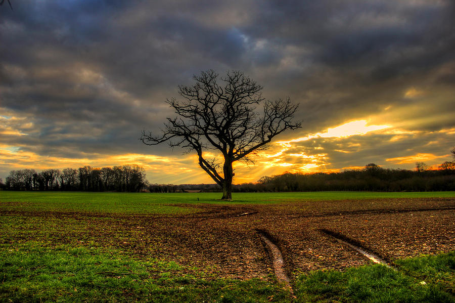 Sunrise Photograph - What will the day bring? by Peggy Berger Sunrise Photograph - What will the day bring? by Peggy Berger