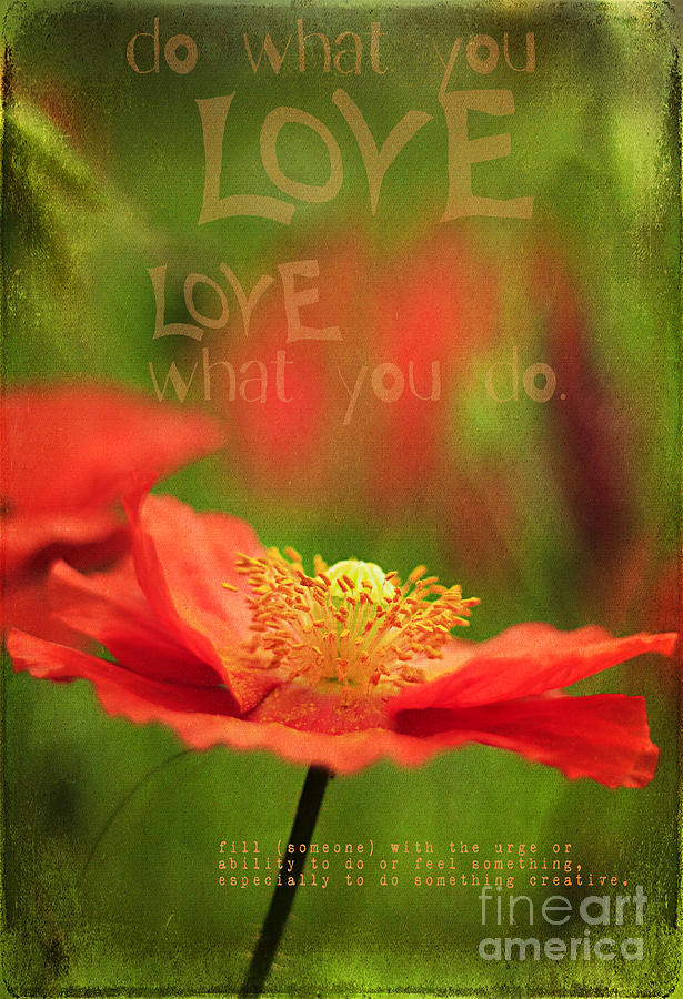 What you Love Photograph by Darren Fisher