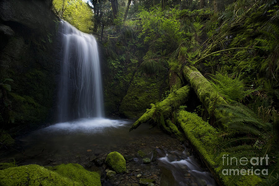 Nature Photograph - Whatcom Falls Serenity by Mike Reid