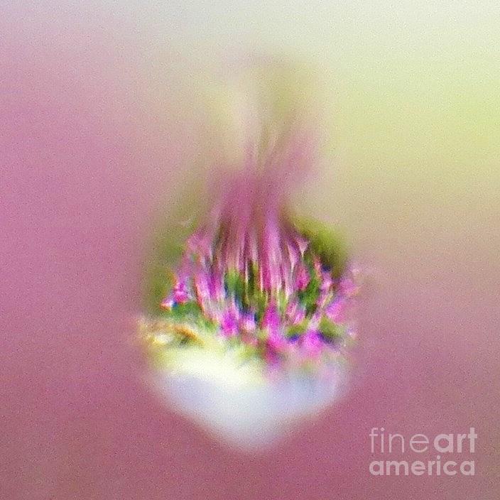 Flower Painting - Whats in a Raindrop 3 by Judy Via-Wolff
