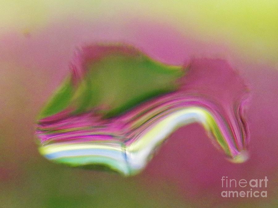 Fish Photograph - Whats in a Raindrop 7 by Judy Via-Wolff