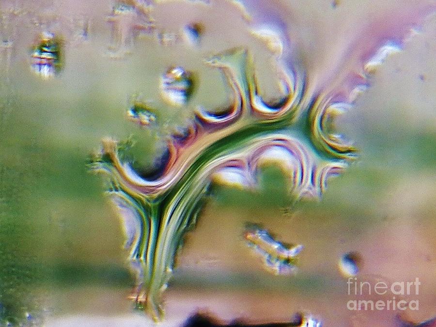 Abstract Painting - Whats in a Raindrop 8 by Judy Via-Wolff