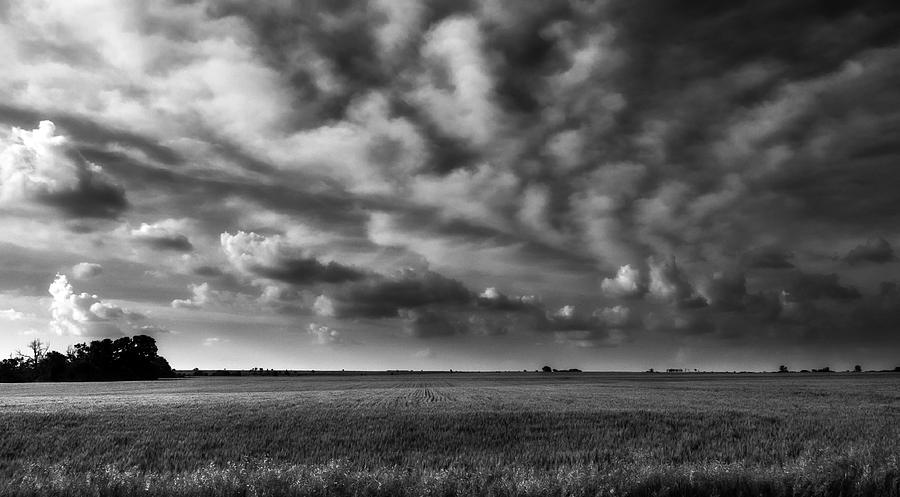Wheat Black and White Photograph by Eric Benjamin