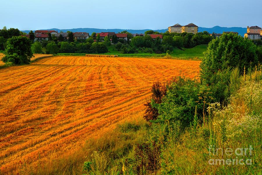 Wheat Field after Harvest Photograph by Norman Gabitzsch