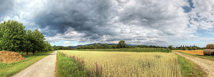 Wheat Field With Approaching Storm Photograph by Antimartina