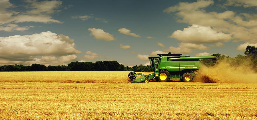 Wheat Harvest Photograph by Ann Powell
