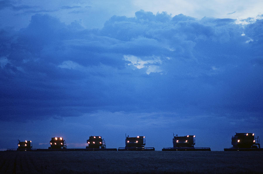 Wheat Harvesting Photograph by Robert Krueger