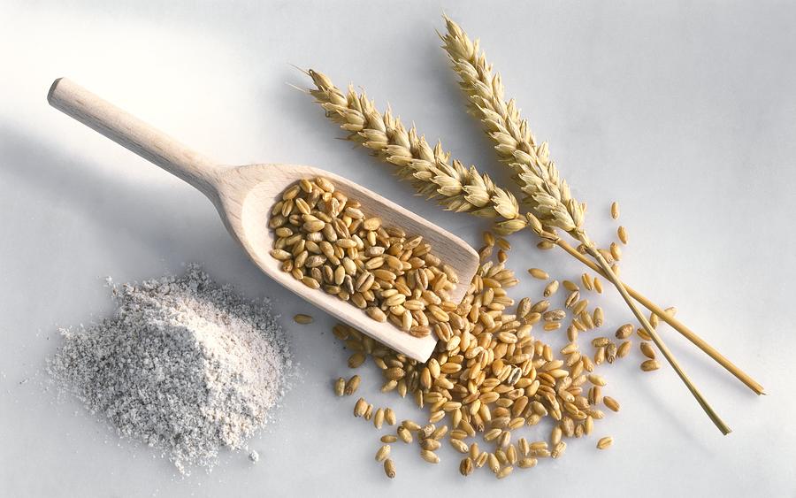 Cereal Photograph - Wheat by Science Photo Library