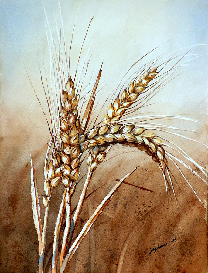 Wheat Stalk Painting by Jelly Starnes