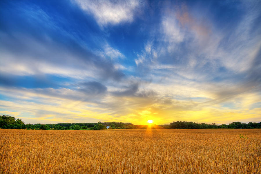 Sunset Photograph - Wheat field sunset by Alexey Stiop