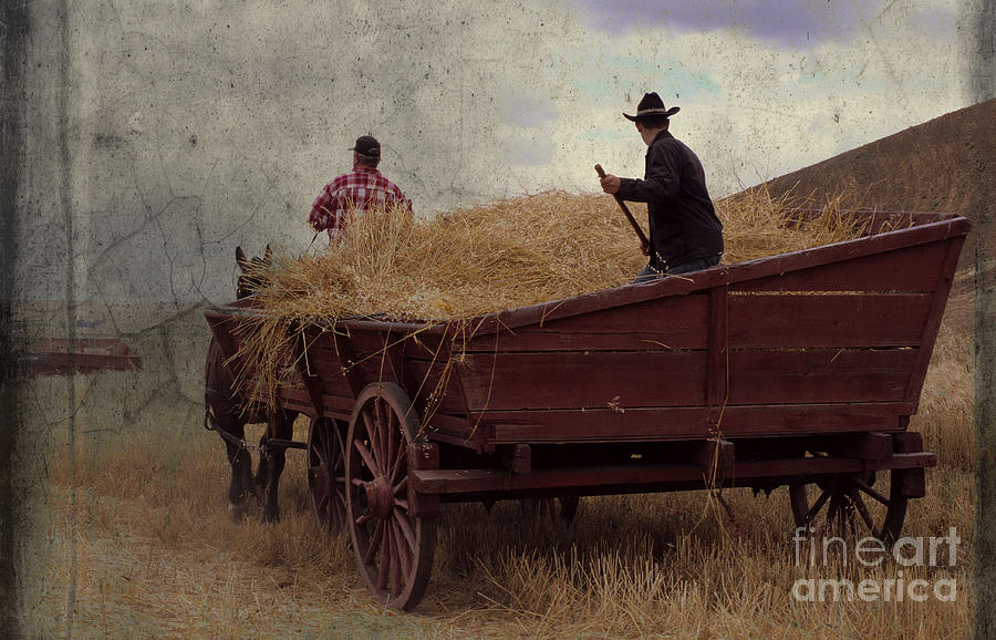 Wheat Wagon Photograph by Sharon Elliott