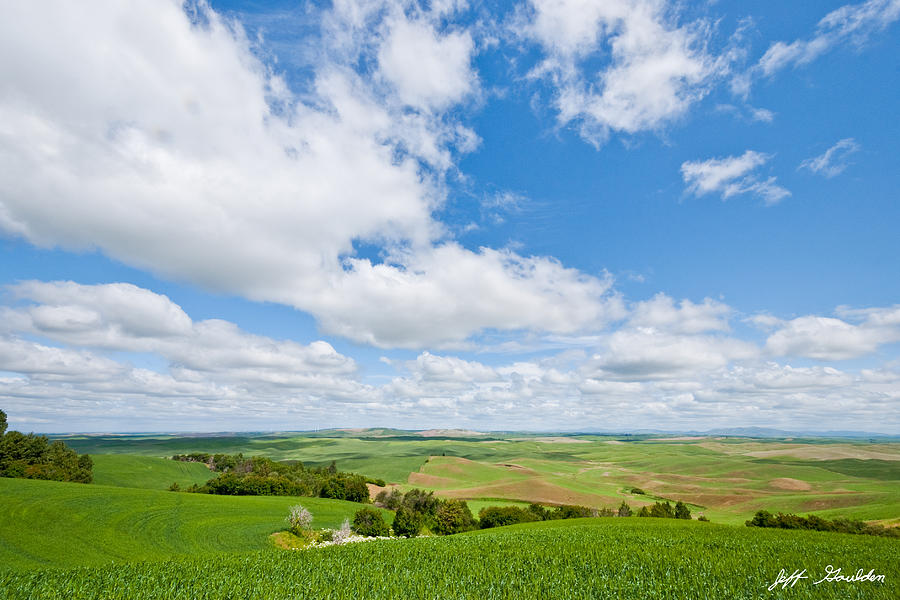 Wheatfield in the Palouse Photograph by Jeff Goulden