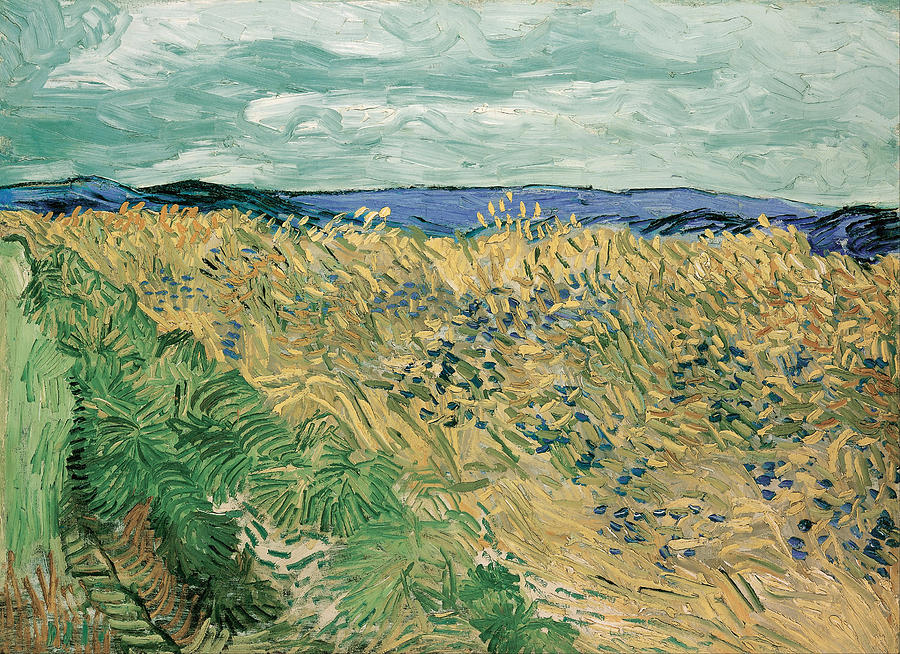 Vincent Van Gogh Painting - Wheatfield With Cornflowers by Vincent Van Gogh