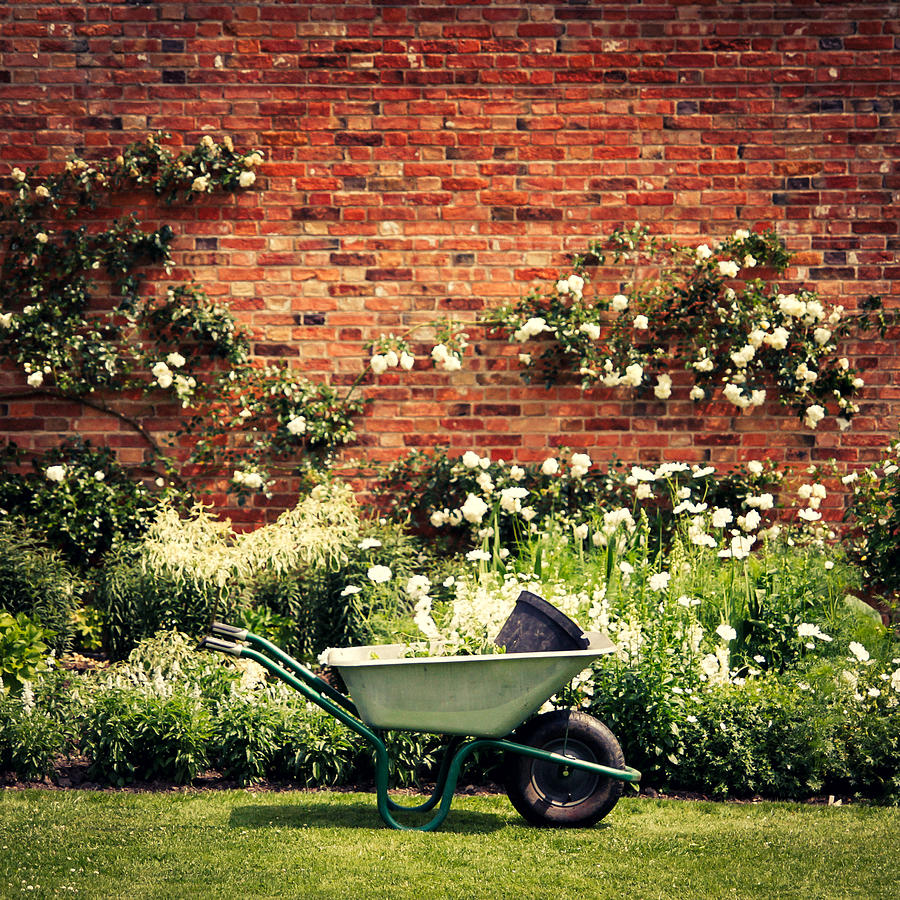Garden Photograph - Wheeelbarrow by Chris Dale