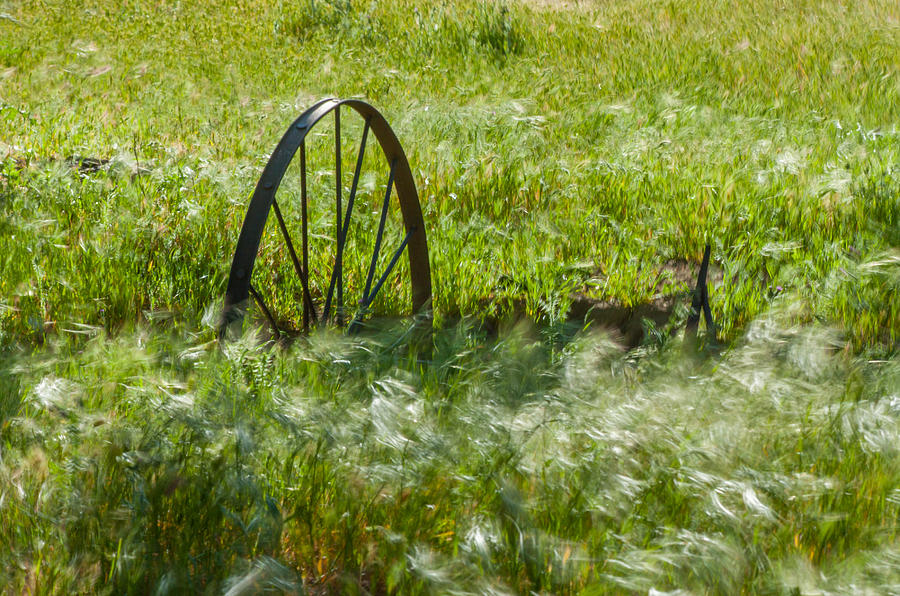Wheel In A Field In The Spring Photograph by Marc Crumpler