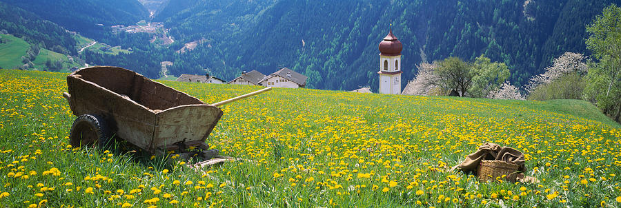 Architecture Photograph - Wheelbarrow In A Field, Austria by Panoramic Images