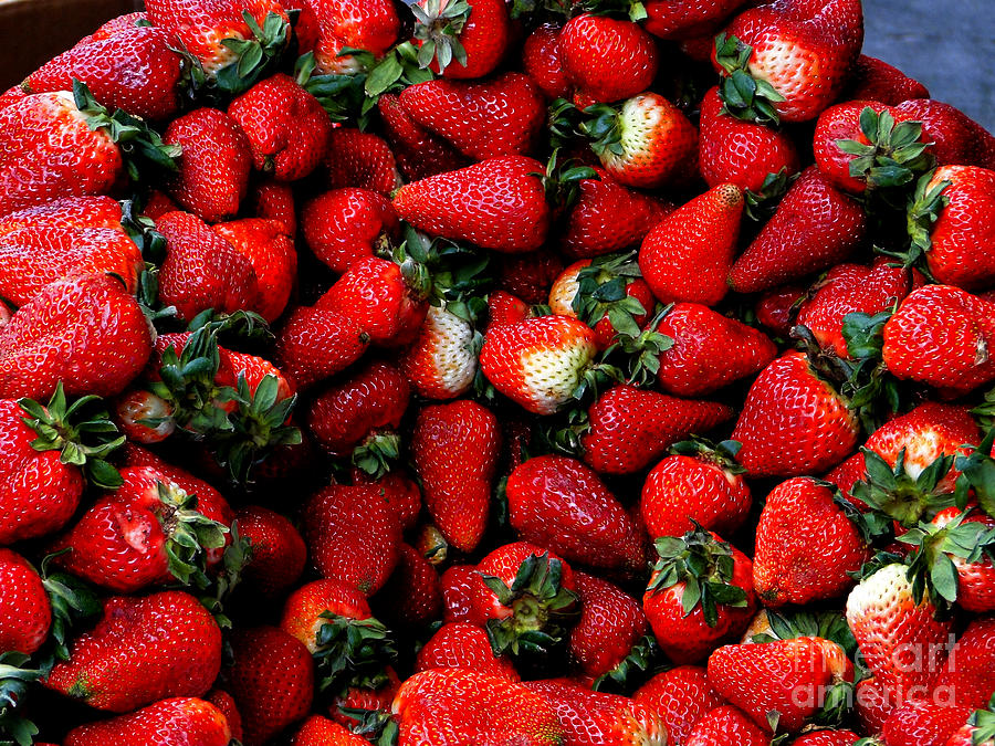 Strawberry Photograph - Wheelbarrow Of Strawberries by Al Bourassa