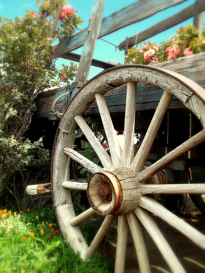 Wheels and Blooms Photograph by Glenn McCarthy Art and Photography