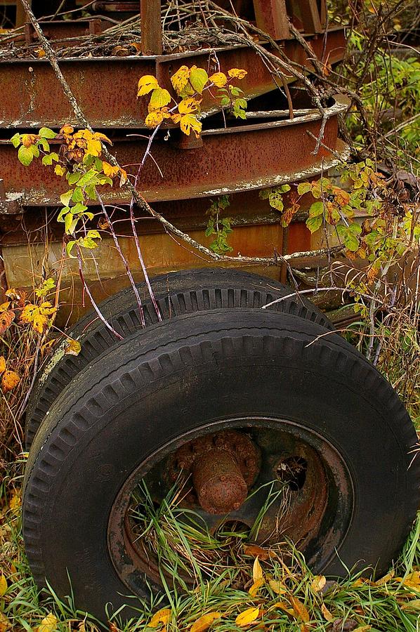 Wheels of Autumn Photograph by Randy Pollard