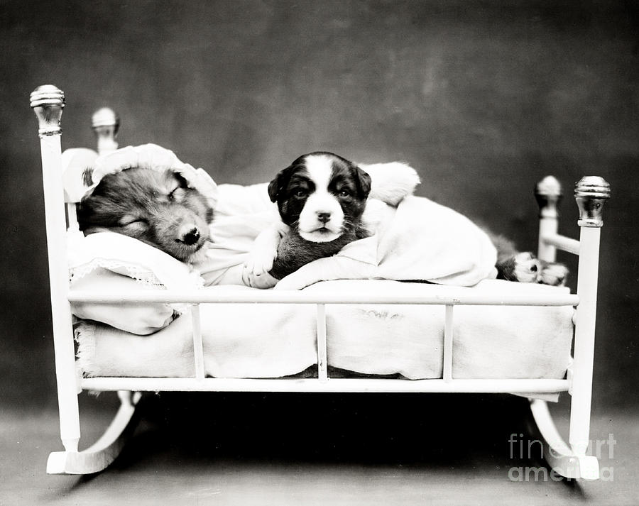 When Bedtime Comes 1914 Photograph by Science Source