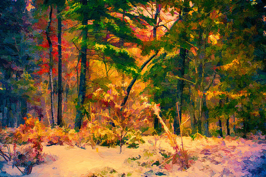 When Fall Becomes Winter Painting by John Haldane