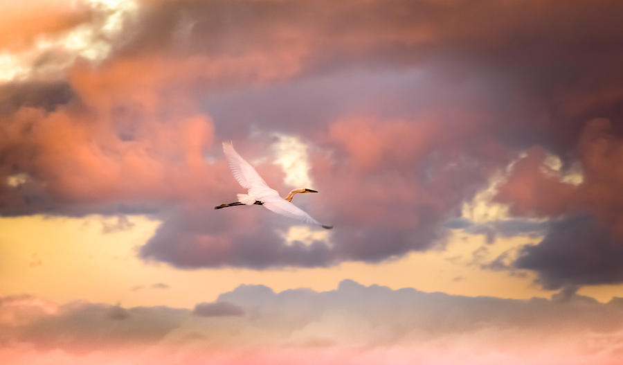 Nature Photograph - When Heaven Beckons by Karen Wiles
