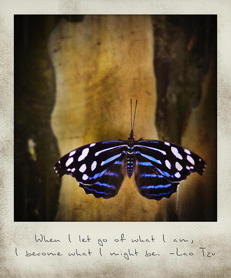 When I Let Go Of What I Am I Become What I Might Be. - Lao Tzu Polaroid Photograph by Bradley R Youngberg