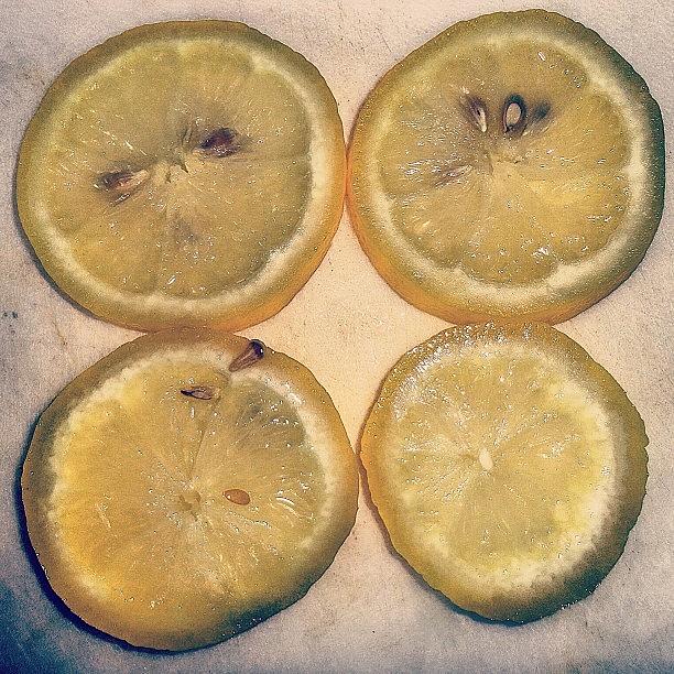 when Life Gives You Lemons, Make Photograph by Natasha Taylor