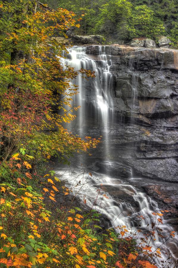 When Light and Water Falls-3A Bouquet and Cascade Over Blackwater Falls State Park WV Autumn Morning Photograph by Michael Mazaika