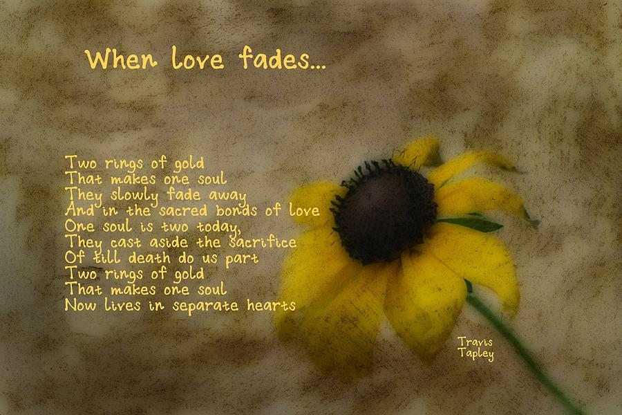 When Love Fades Photograph by Travis Tapley