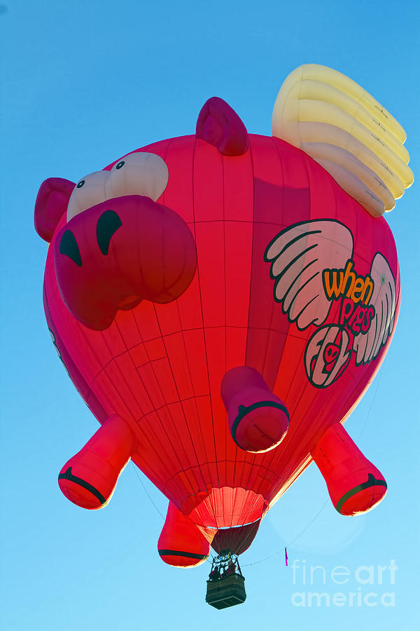 When Pigs Fly Photograph by Gary Holmes
