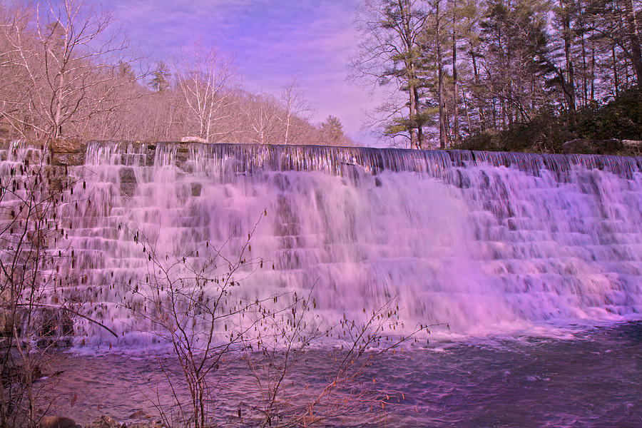 Fall Photograph - When Pink Falls by Betsy Knapp