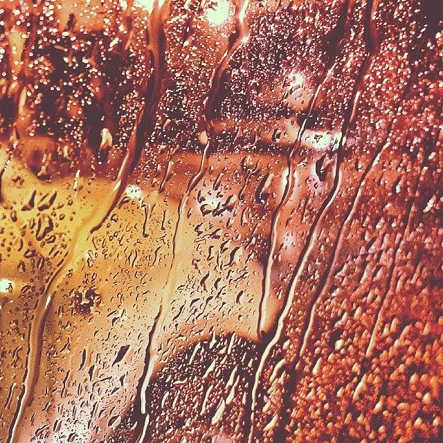Winter Photograph - When Rains Painted The Canvas. by Sargheve Sukumaran