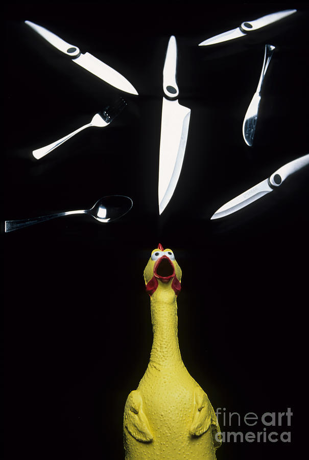 Juggle Photograph - When Rubber Chickens Juggle by Bob Christopher