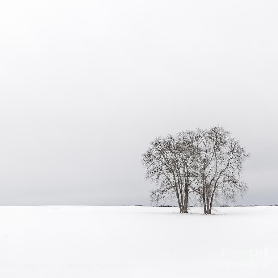 When Silence Fell Photograph by Evelina Kremsdorf