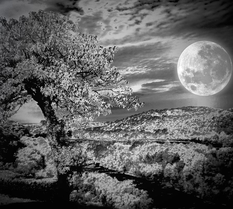 When the moon comes over da mountain Photograph by Robert McCubbin