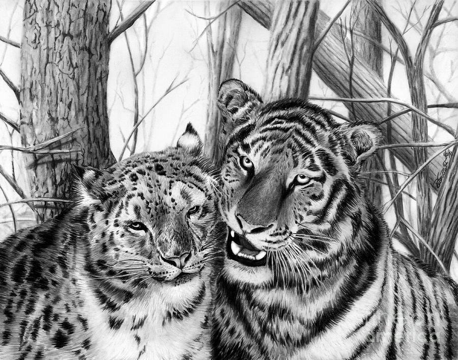 Wildlife Drawing - When Two Hearts Collide by Peter Piatt