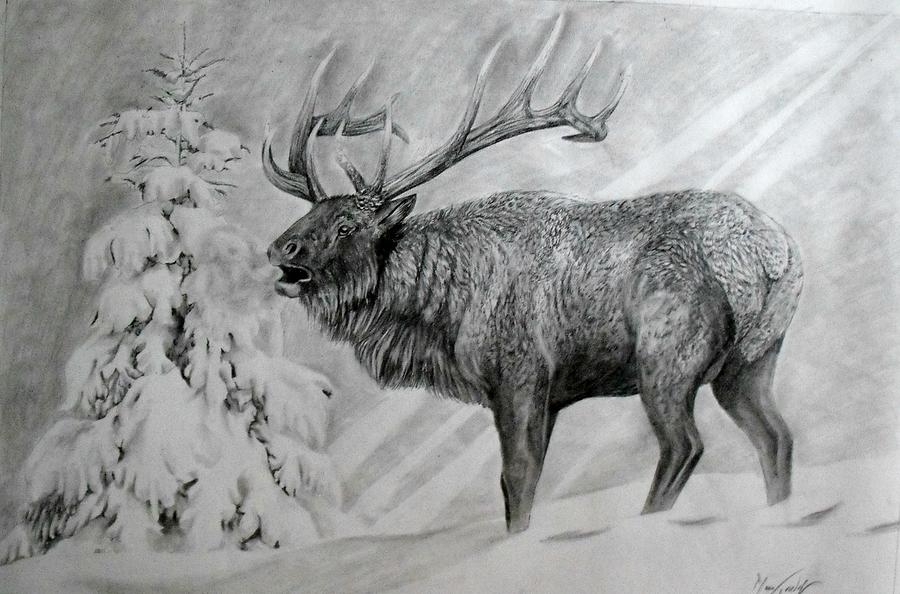 Winter Drawing - When Winter Comes Early by Maria Friedrich