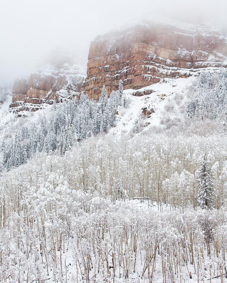 When Winter Falls Photograph by Darren White